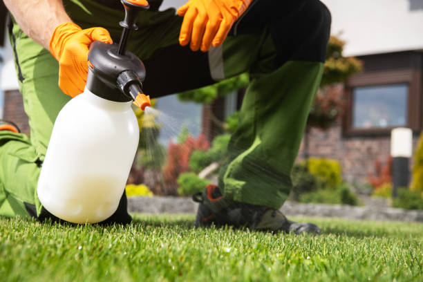 Best Pest Removal Services  in Caribou, ME