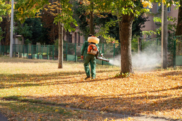 Best Pest Control Near Me in Caribou, ME