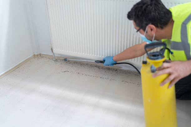Best Residential Pest Control  in Caribou, ME